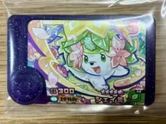 フレンダ シェイミ　レア枠　ベストタッグ第2段