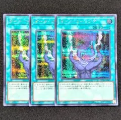 遊戯王 ダーク・コーリング シク3枚