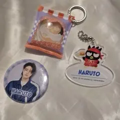 TREASURE　はぴだんぶい　カフェ　ハルト