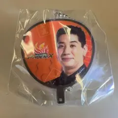 Item thumbnail for item 2f64d002-9162-46f4-b37d-b89717baaa37