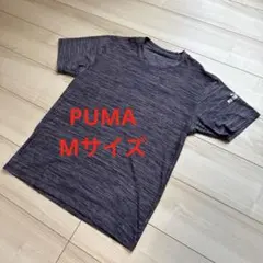 プーマ PUMA メンズ トレーニングウェア Mサイズ