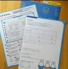 ミッフィー婚姻届　クリアファイル　書き方見本　ゼクシィ