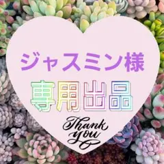 ジャスミン様 リクエスト 2点 まとめ商品