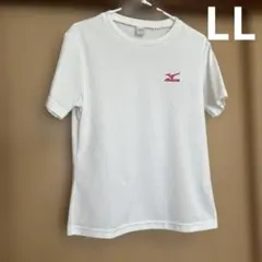 Item thumbnail for item 0ff47f18-ea70-4618-b487-2ec28212a455