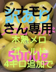 シナモンさん専用