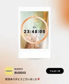 BUDDiiS FUMIYA チェキ