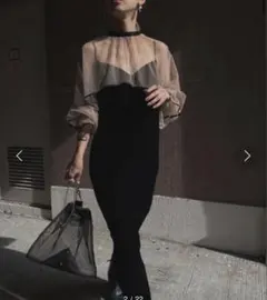 Ameri アメリ　MANY WAY TULLE VEIL DRESS