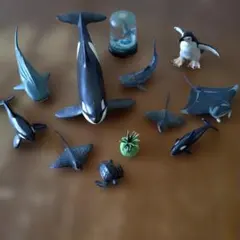 海洋生物 フィギュア まとめセットのサムネイル