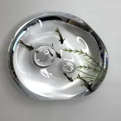 2025年最新】久保裕子 ガラスの人気アイテム - メルカリ