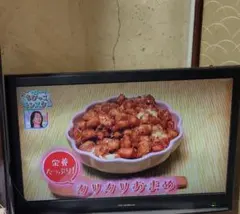 COSMO VISTA コスモビスタ 世界どこからでも世界のテレビが視聴可能