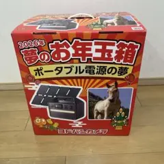 2026年最新】夢のお年玉箱の人気アイテム - メルカリ