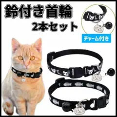 Item thumbnail for item 18d4da7c-e3c6-46fe-b376-1d60b1a27f8f