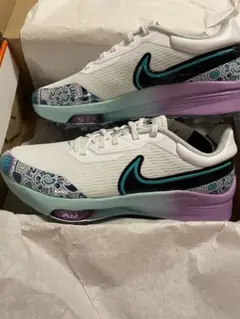 Nike Zoom インフィニティツアー　28cm 中古 2025年最新】air zoom infinity tour 28cmの人気アイテム - メルカリ