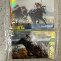 武豊騎手ほかJRAサインゴーグル11点 - メルカリ