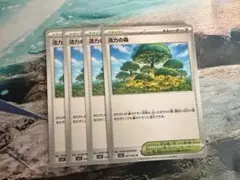 活力の森 トレーナーズカード 4枚セット