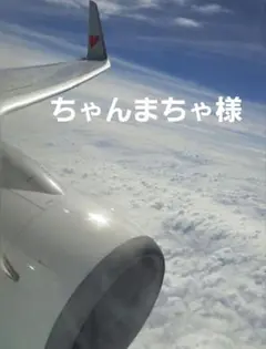 ちゃんまちゃ様
