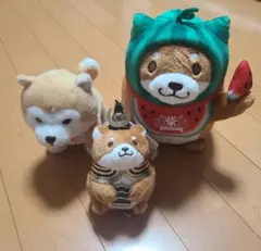 熊本柴犬 ぬいぐるみ マスコット 3点セット - メルカリ