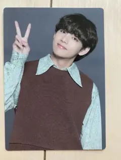 BTS SOWOOZOO ミニフォトカード トレカ V テヒョン テテ