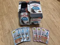 Item thumbnail for item 5718e6c2-1212-482b-a199-381858b08f14