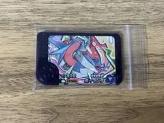 ポケモンフレンダ　スーパートレジャー　ボーマンダ