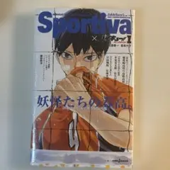 ハイキュー ショーセツバン1 sportivaコラボ