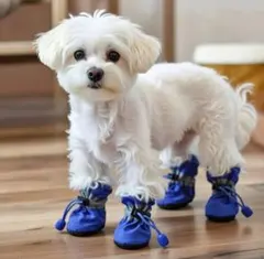 Item thumbnail for item ae1ddf0c-e8b2-4cf8-b2ee-e727a87a2fba