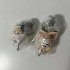 skzoo ガチャ つまつな ジニレット フォクシニー ソコンイェズ