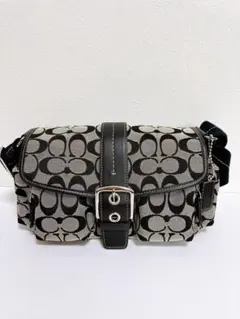 ✨極美品✨ COACH ショルダーバッグ　バッグ　キャンバス　シグネチャー