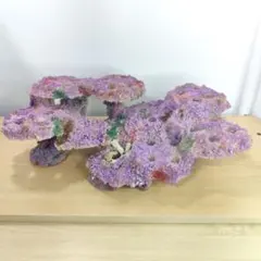 2026年最新】ライブロック セメントの人気アイテム - メルカリ