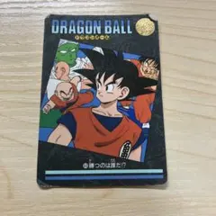 ドラゴンボール　カードダス　ビジュアルアドベンチャー1992年物 ビジュアルアドベンチャー 1992年 カードダス 当時物 162
