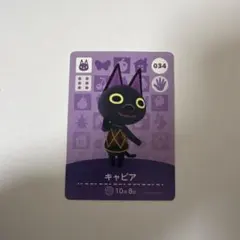 しゅん様専用　あつ森　amiiboカード　キャビア