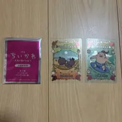 映画 치이카와 人魚の島のひみつ 입장자 특템 クリアカード 島二郎 ヒトハ フタバ