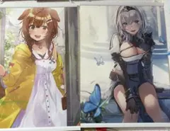 ホロライブタペストリー 2点セット 戌神ころね 白銀ノエル