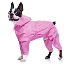 Item thumbnail for item 89b71044-5e02-4a92-a4dd-a424313f5563