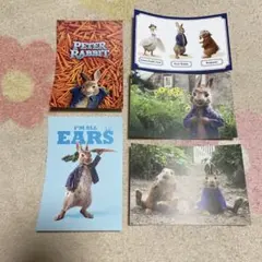 ピーターラビット ポストカード 4枚セット