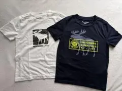 Abercrombie Kids Tシャツ 2枚セット 5/6