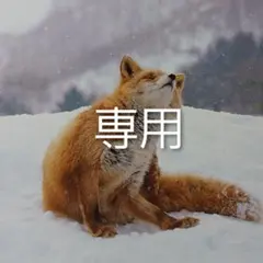 専用 りんりん様