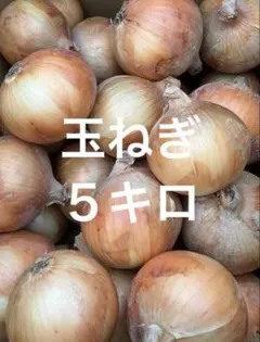玉ねぎ　５キロ 秀品　産地直送のサムネイル
