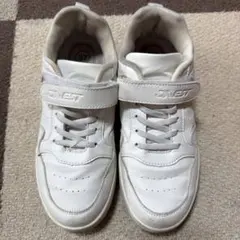 Item thumbnail for item 84d52d58-b1ca-4192-b1fe-76fb8f9c13f4