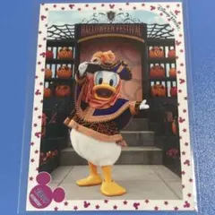 ディズニー TDS スペシャルフォト ハロウィーン 2009 ドナルド 1枚