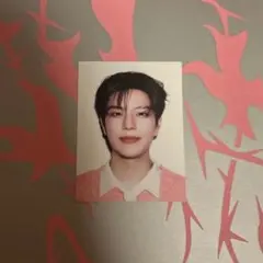 Stray Kids スンミン 証明写真