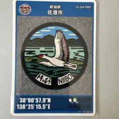 【非売品】佐渡市 マンホールカード トキ デザイン