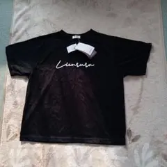 Item thumbnail for item 0824927a-94e2-4114-b045-fad0ed326396