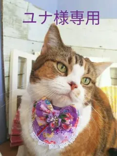 ユナ様専用、オーダーページ