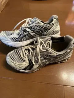 Item thumbnail for item 91051b02-90ae-4272-a7f4-a07f9399c5a8