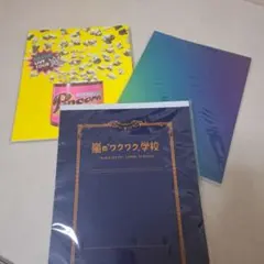 ARASHI LIVE TOUR パンフレット