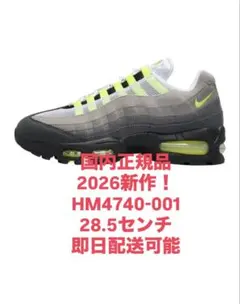 Nike Air Max 95 Big Bubble 