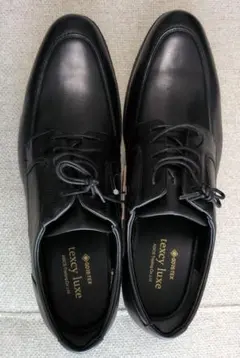 GORE-TEX　大きめ　EEEE texcy luxe　　28.0cm