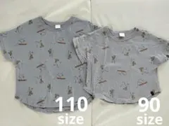 Item thumbnail for item 38020028-fa8d-42c7-81f0-cdac80f0c0f2