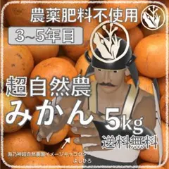 自然農みかん5kg 3〜5年目 農薬肥料不使用 自然農法 海乃神自然農園 